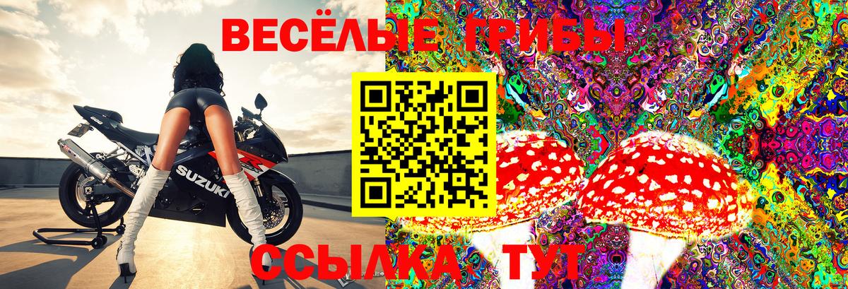 Якутск  Псилоцибиновые грибы мицелий  Вход с VPN 